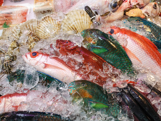 A beginner’s guide in buying seafood