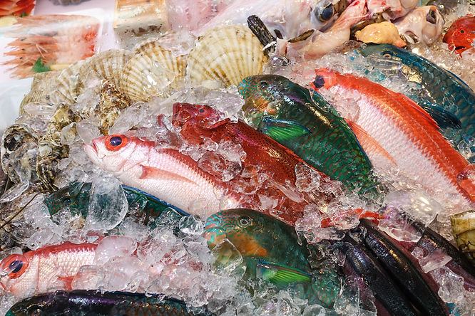 Pesce fresco in vendita