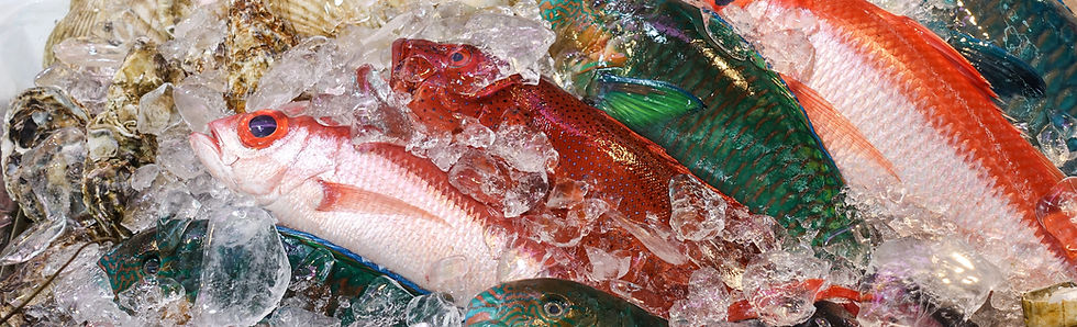 鮮魚マーケット