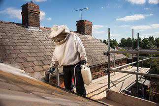 Professional roof cleaning that protects your property