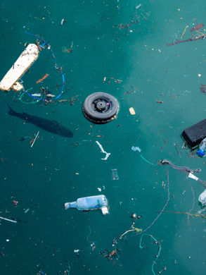 Naissance du groupe "site web et inventaire des pollutions"