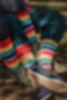 Rainbow Socks