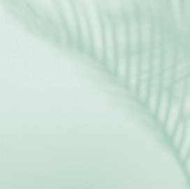 Stín palmového listu