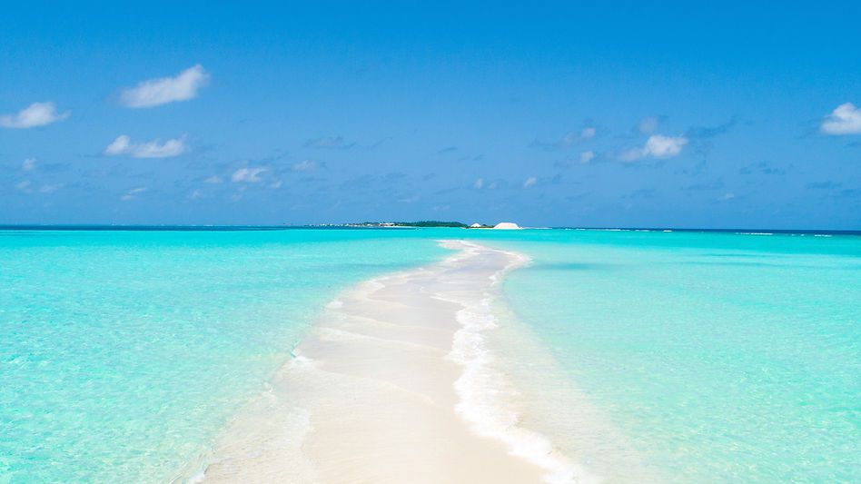 Tropical Beach Path