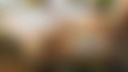 MENÜPLAN 26. Jänner - 1. Februar