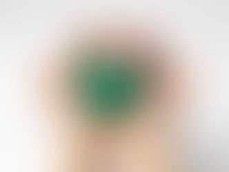 〔238〕