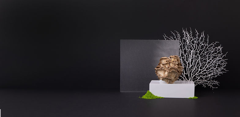 Dzikie organiczne kształty