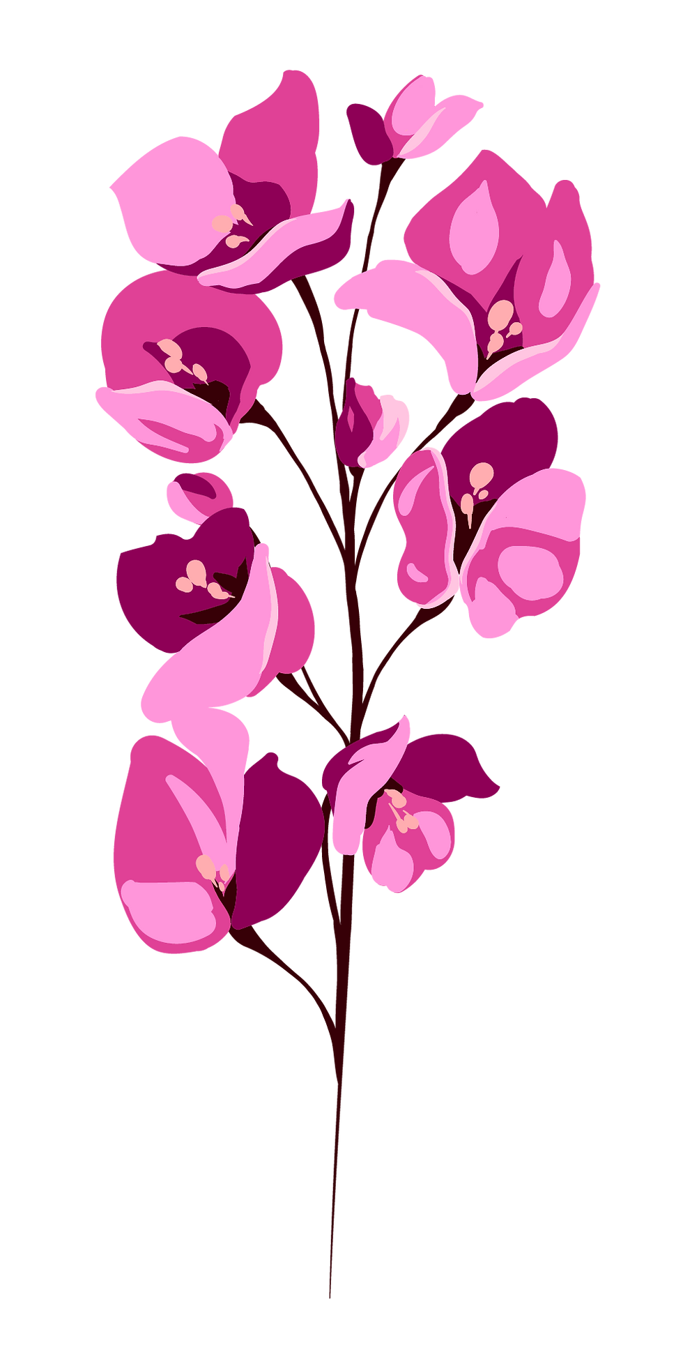 Pink Floral Illustration