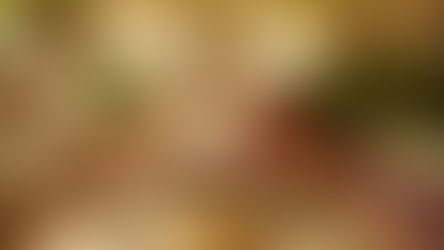 Wine Club Newsletter - May 2023