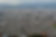Populated City