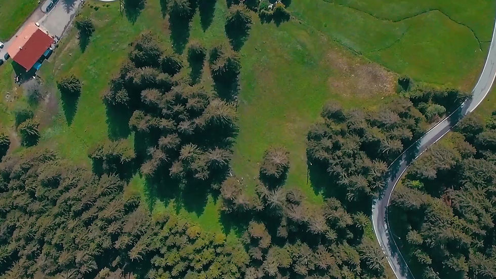 Scenic Mountain Road Views