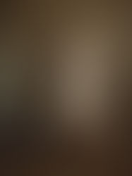 They Shoot Horses, Don't They?