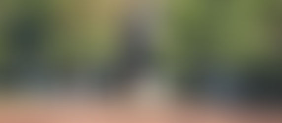 ¿Qué necesitamos los profesionales de salud en formación en el Perú paraconvertirnos en líderes del aprendizaje-servicio para reducir el sobrepeso,la obesidad o la diabetes mellitus e incrementar