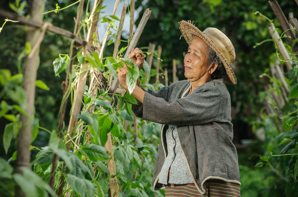 Farmer Wearing Straw Hat