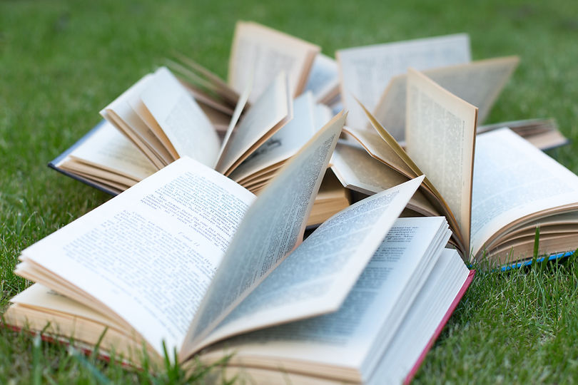 Open books lying on a green grass