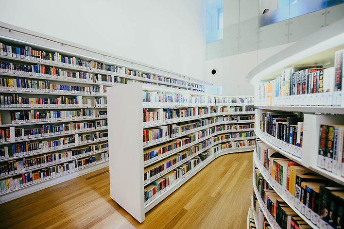 Modern Library Interior