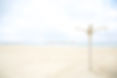 Georgia Beach