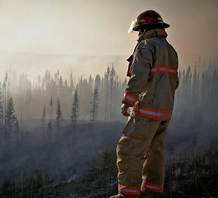 Firefighter Observes Forest Fire