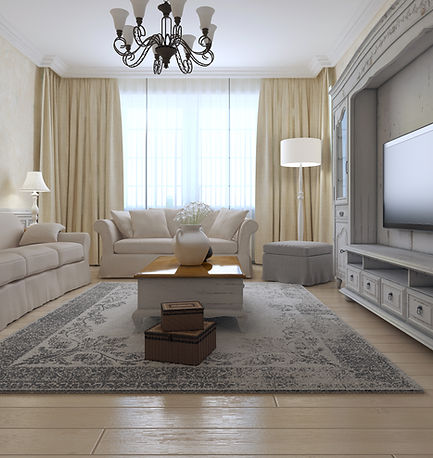 A Bright Living Room