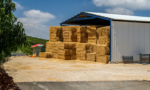 Hay Bales for animal consumption