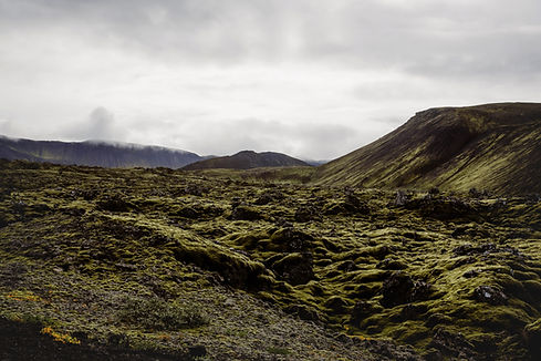 Paysage de la montagne moussue