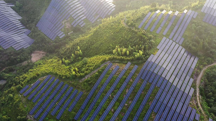 COP30: Global South's Climate Leadership Moment