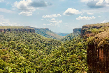 Nature Views