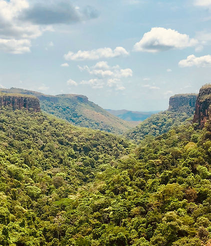 Vista para a natureza