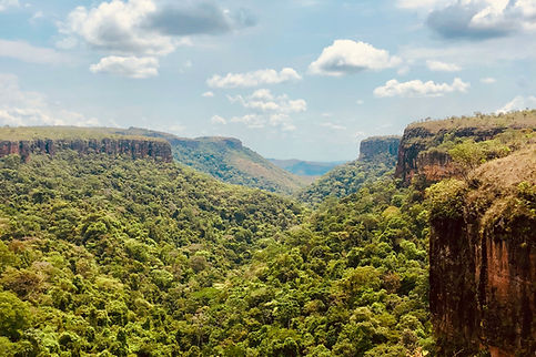Vista para a natureza