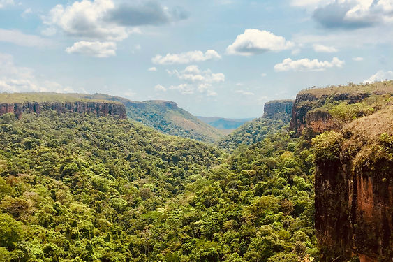 Nature Views