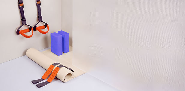Equipos de gimnasio