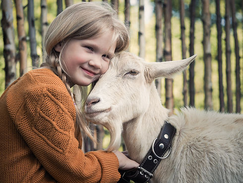 L'amour des animaux