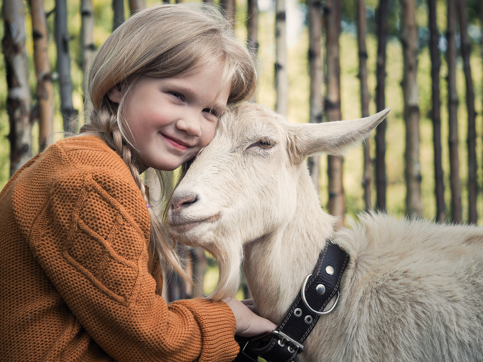 Love for animals