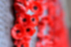 Memorial Poppies