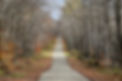 Country Road
