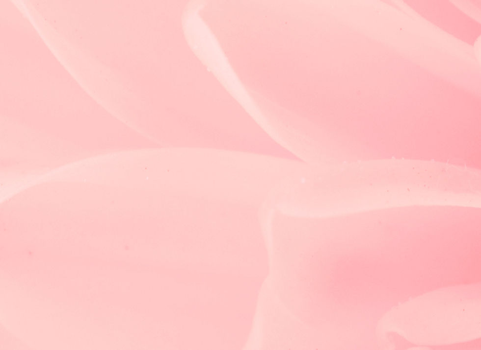 Pink Flower Close-up