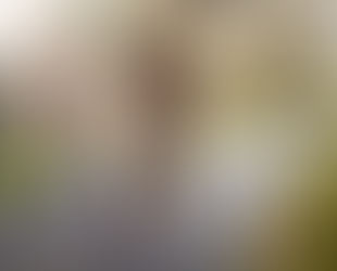 Premisas histórico-socioculturales y satisfacción con la vida: Rol mediador de la evitación al éxito.