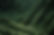 Lush Green Hills