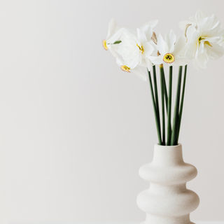 Schülerinnen erfolgreich bei Jugend Musiziert gestartet