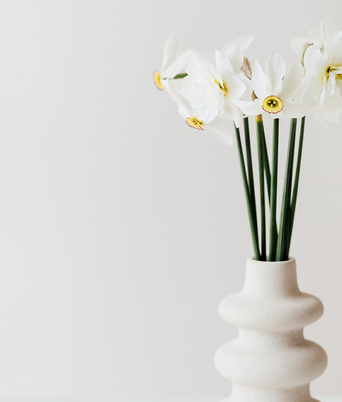 photo of white flowers in vase