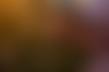 Slow Flower Movement - buying locally grown flowers.