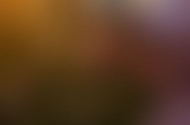 Slow Flower Movement - buying locally grown flowers.