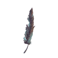 Plume