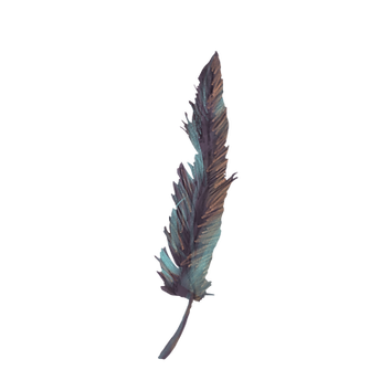Feather