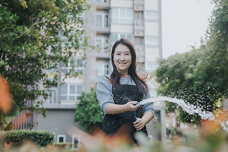 식물에 물을 주다