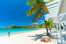 Tropical Beach