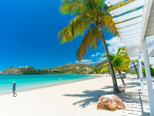 BOSSA NOVA AVEC - PAMELA CONTRERAS, JAYME ALEDO ET INÊS DA SILVA 