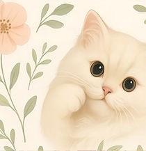 Chat blanc mignon