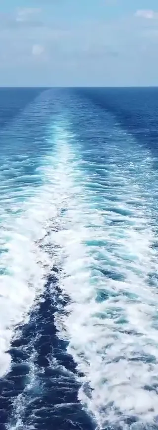 Online Shop Trident Spirits Online Shop Trident Spirits