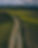 Paisaje de campo